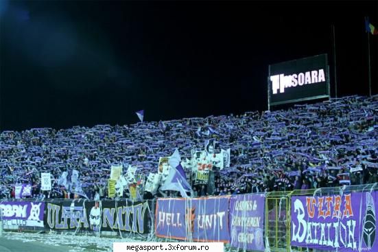 4. poli timisoara poze galerii din romania